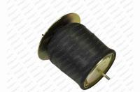 Měch pérování přední Renault Prémium